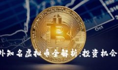 2023年国外知名虚拟币全解析：投资机会与风险警