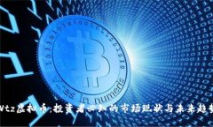Wtz虚拟币：投资者必知的市场现状与未来趋势