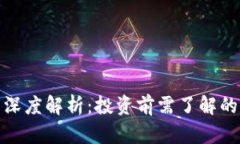 权实虚拟币深度解析：投资前需了解的风险与机
