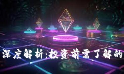 权实虚拟币深度解析：投资前需了解的风险与机遇