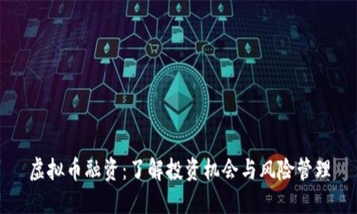 虚拟币融资：了解投资机会与风险管理