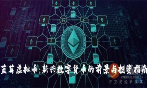 蓝莓虚拟币:新兴数字货币的前景与投资指南