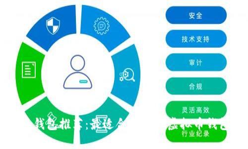 虚拟币钱包推荐:最适合支付的虚拟币钱包解析