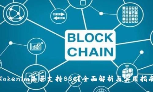 Tokenim是否支持BSC?全面解析与实用指南