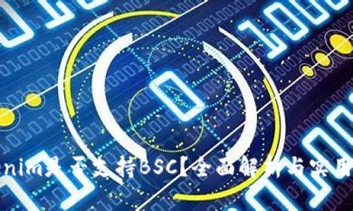 Tokenim是否支持BSC?全面解析与实用指南