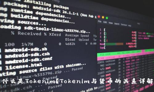 什么是Tokenim?Tokenim与货币的关系详解
