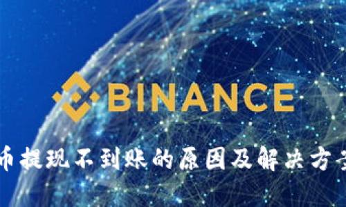 虚拟币提现不到账的原因及解决方案详解