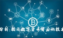 虚拟币程序分析：揭示数字货币背后的
