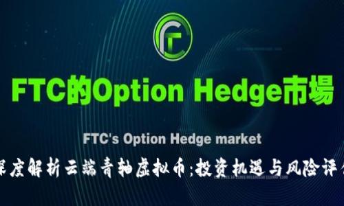 深度解析云端青轴虚拟币:投资机遇与风险评估