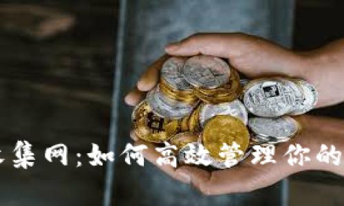 虚拟币收集网:如何高效管理你的数字资产