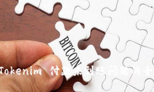 解决 Tokenim 付款未到账问题的全面指南
