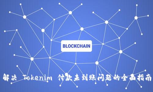 解决 Tokenim 付款未到账问题的全面指南