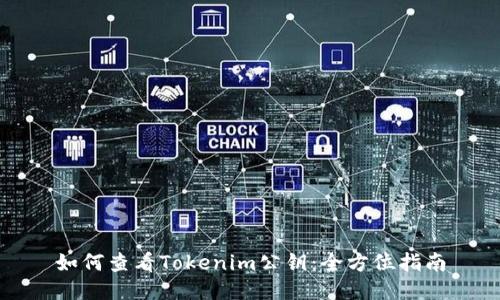 如何查看Tokenim公钥:全方位指南
