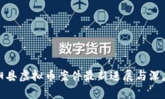 : 宾阳县虚拟币案件最新进展与深度分