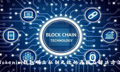 Tokenim钱包明文私钥无效的原因及解决方法