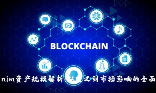 Tokenim资产规模解析:从定义到市场影响的全面解读
