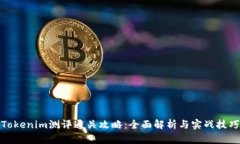 Tokenim测评通关攻略：全面解析与实战