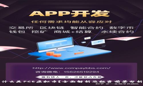 什么是PCE虚拟币?全面解析及投资前景分析
