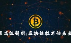 Tokenim项目高级解析：区块链技术的未