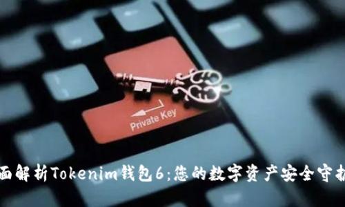 全面解析Tokenim钱包6:您的数字资产安全守护者