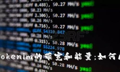 深入解析Tokenim的带宽和能量:如何区块链性能