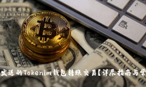 如何取消未发送的Tokenim钱包转账交易?详尽指南与常见问题解答