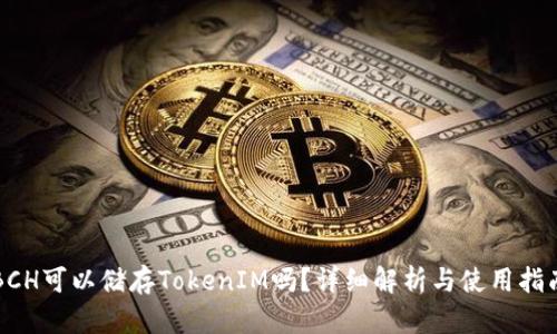 BCH可以储存TokenIM吗?详细解析与使用指南
