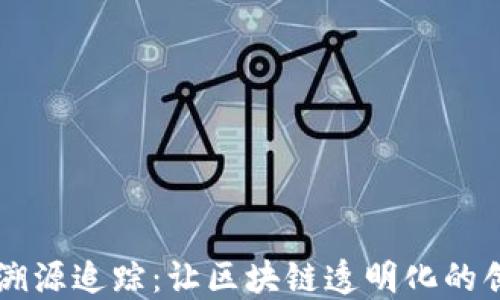 
虚拟币溯源追踪：让区块链透明化的创新技术