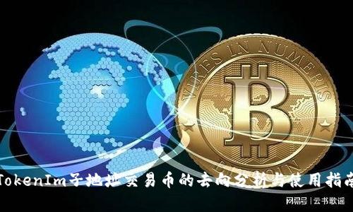 TokenIm子地址交易币的去向分析与使用指南