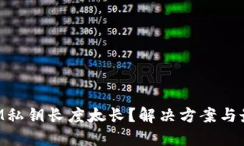 TokenIM私钥长度太长？解决方案与最佳实践