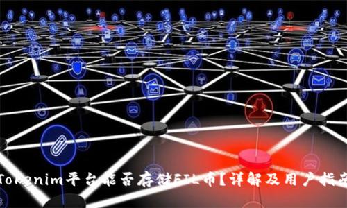 Tokenim平台能否存储FIL币？详解及用户指南
