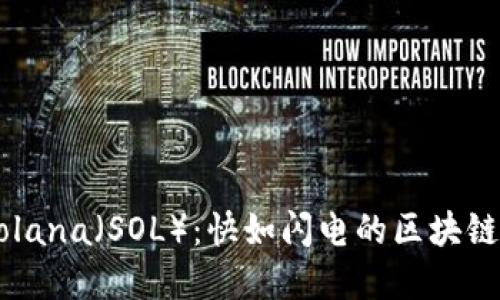 深入了解Solana（SOL）：快如闪电的区块链与虚拟货币