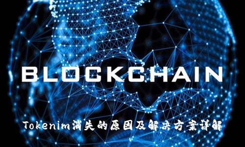 Tokenim消失的原因及解决方案详解
