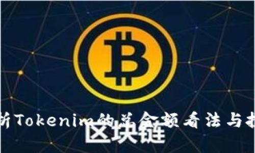 深入解析Tokenim的总金额看法与投资策略