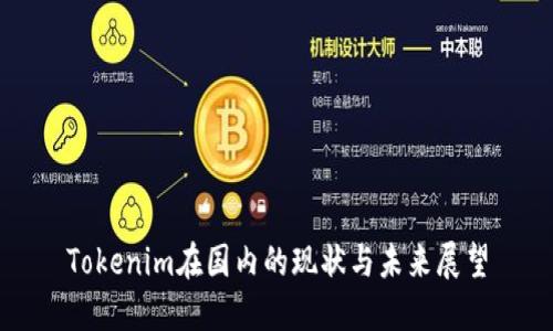Tokenim在国内的现状与未来展望