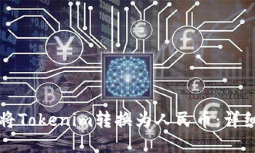 如何将Tokenim转换为人民币：详细指南