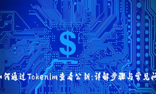  如何通过Tokenim查看公钥：详解步骤与常见问题
