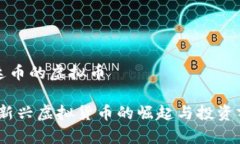 挂到雷达币的虚拟币雷达币：新兴虚拟