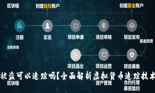 虚拟币被盗可以追踪吗?全面解析虚拟货币追踪技术与手段