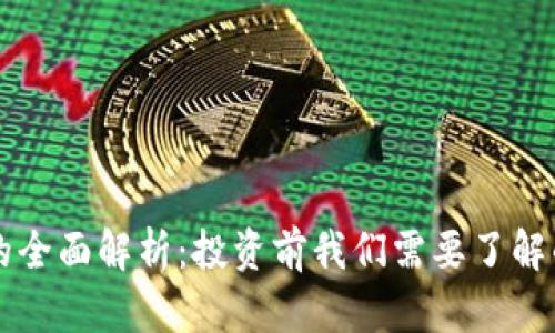 SL虚拟币的全面解析:投资前我们需要了解的所有信息