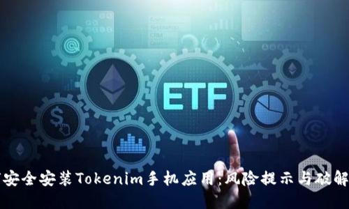 如何安全安装Tokenim手机应用：风险提示与破解方法