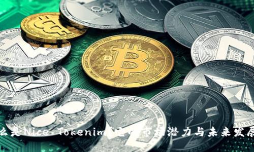 是什么是Nice Tokenim?它的市场潜力与未来发展趋势