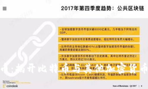 挖矿虚拟货币:揭开比特币与其他加密货币的神秘面纱