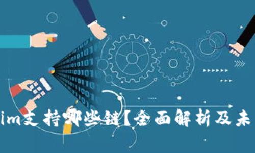 Tokenim支持哪些链?全面解析及未来展望