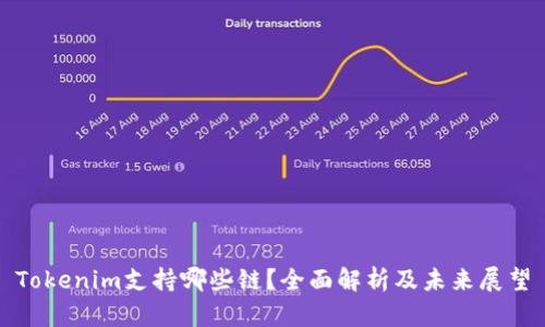 Tokenim支持哪些链?全面解析及未来展望
