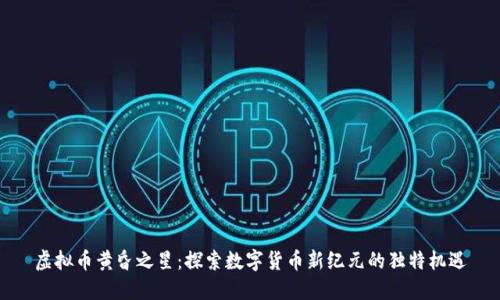 虚拟币黄昏之星：探索数字货币新纪元的独特机遇
