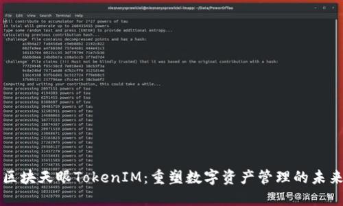 区块天眼TokenIM:重塑数字资产管理的未来
