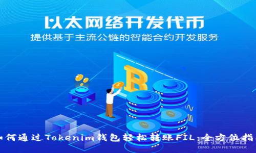 如何通过Tokenim钱包轻松转账FIL：全方位指南