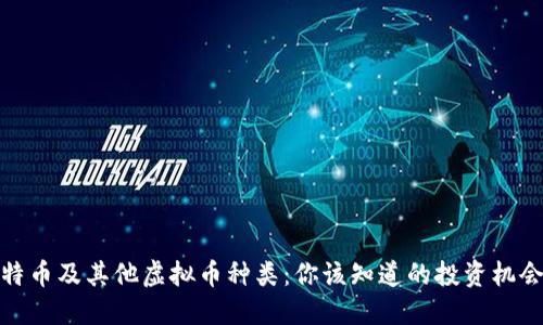探索比特币及其他虚拟币种类：你该知道的投资机会与技巧