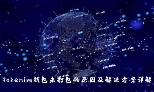 Tokenim钱包未打包的原因及解决方案详解